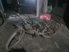 Duranta Bicycle for sale