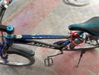 Bicycle for sale