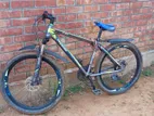 Phoenix Bicycle for Sale