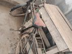 Bicycle for sell