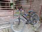 Bicycle for sell