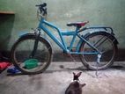 Bicycle for sell