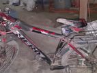 Bicycle for sell