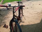 Bicycle for sell