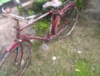 Bicycle for sell