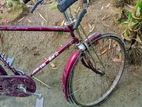 Bicycle for sell