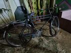 Bicycle for sell