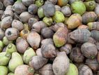 বাংলাদের বিখ্যাত বরিশালে সুপারি ও নারিকেল।