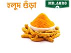 বার্মার খাঁটি হলুদ গুঁড়া