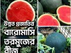 বারোমাসি কালো তরমুজ বীজ