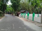 বাড়ি বিক্রি করবো (টিনসেড বিল্ডিং) ৪৮শতাংশ জমিসহ মাদারীপুর সদর