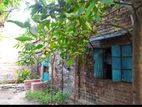 বাড়ি সহ জমি বিক্রি