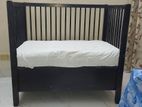 BABY COT