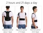 Back support Belt