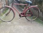 Bicycle for sell