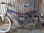 Bicycle for sell