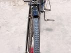 Duranta Bicycle for sale