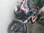 Bajaj Avenger 150 Street . 2023