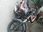 Bajaj Avenger 150 Street . 2023