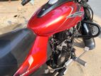 Bajaj Avenger 160 . 2023