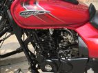 Bajaj Avenger Street 160 D/D Abs 2023
