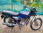 Bajaj Boxer . 2008