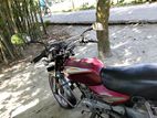 Bajaj Boxer . 2008