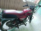 Bajaj Boxer . 2010