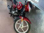 Bajaj CT 100 . 2024