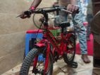 Baby Cycle 2023
