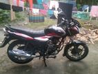 Bajaj Discover 110 . 2023