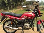 Bajaj Platina 100 . 2019