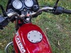 Bajaj Platina ২০০৯ 2010