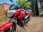 Bajaj Pulsar 135 2010