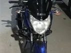 Bajaj Pulsar 135 . 2013