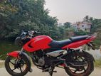 Bajaj Pulsar 135 2013