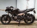 Bajaj Pulsar 135 2024