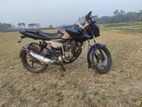 Bajaj Pulsar 135 . 2014