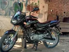 Bajaj Pulsar 2008