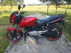 Bajaj Pulsar 150 2013 2012