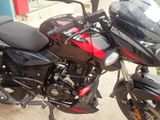 Bajaj Pulsar 150 . 2023