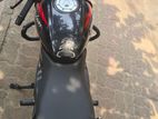 Bajaj Pulsar 150 . 2023