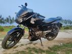 Bajaj Pulsar 150 Black Colour 2009