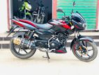 Bajaj Pulsar 150 ON TEST single duck 2024