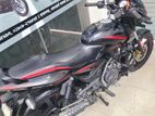 Bajaj Pulsar 150 পালসার সিঙ্গেল ডিস্ক 2019