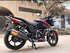 Bajaj Pulsar 150 ফ্রেশ বাইক 2023