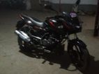 Bajaj Pulsar 150 single dick 2018
