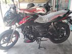 Bajaj Pulsar 150 সিঙ্গেল ডিক্স এবিএস 2024