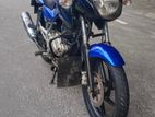 Bajaj Pulsar 3 Colour 2015