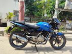 Bajaj Pulsar D 2013